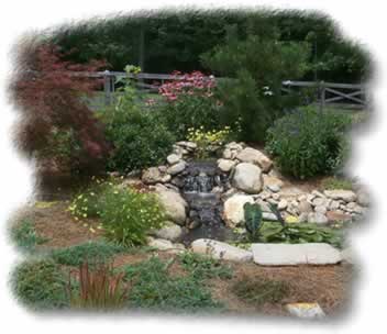 Water Feature and Ponds